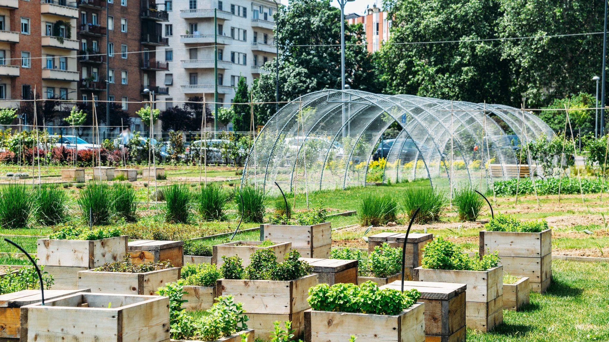 Los Diferentes Tipos De Jardines Urbanos Que Embellecen La Ciudad ...